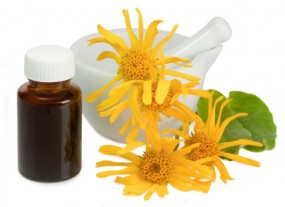 Λάδι Άρνικας