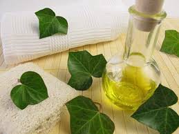 Λάδι Κισσού
