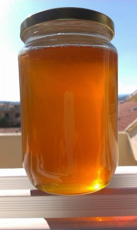 Θυμαρίσιο Μέλι