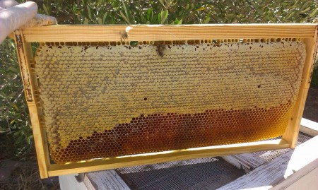 Σφραγισμένο Μέλι