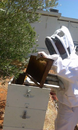 Συλλογή Πλαισίων για Τρύγο