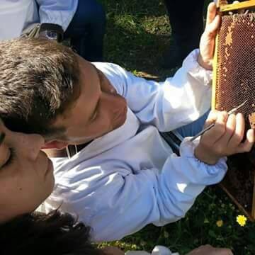 Βασιλοτροφία