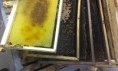 /album/photogallery/a10307365-332990446858399-1685386283995902480-n-jpg/