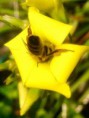 /album/photogallery/a10552579-437829366374506-8097111248713755401-n-jpg/