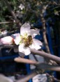 /album/photogallery/a10994584-443653559125420-1569483246438753242-n-jpg/